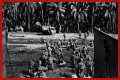 WWII's Most Daring Raids - Smithsonian Channel